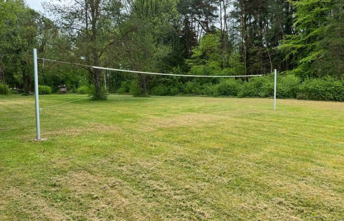 Volley Ball / Badminton